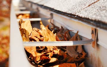 Ridge Common gutter cleaning companies