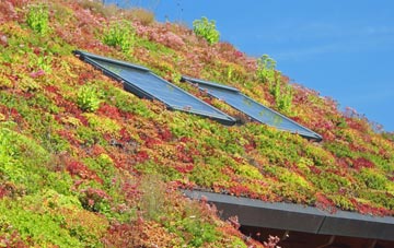Ridge Common living roof systems