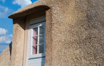 Ridge Common thatch roof disadvantages