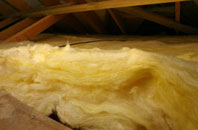 Ridge Common pitch roof insulation